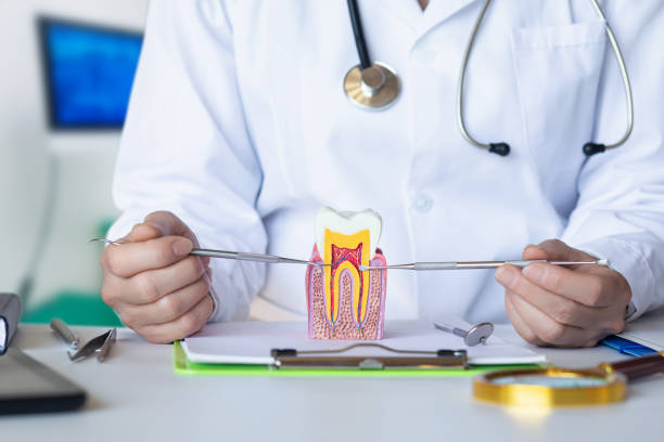 Best Emergency Dental Care for Sports Injuries in Hillburn, NY